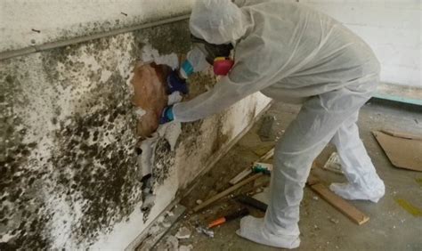 psl mold remediation Water Damage Recovery, Inc